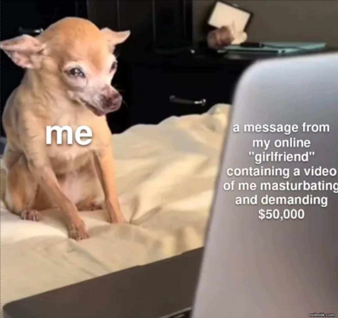 Your Online Girlfriend