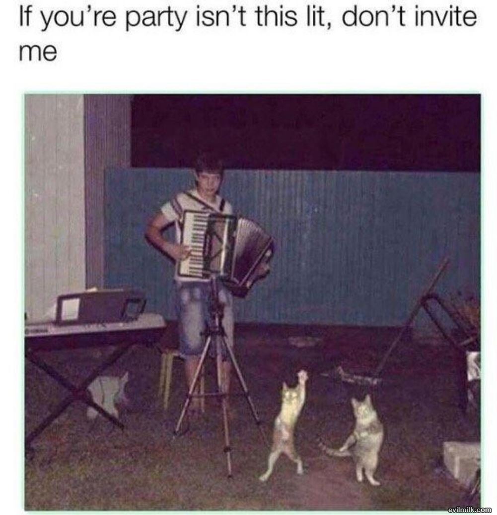 Your Party