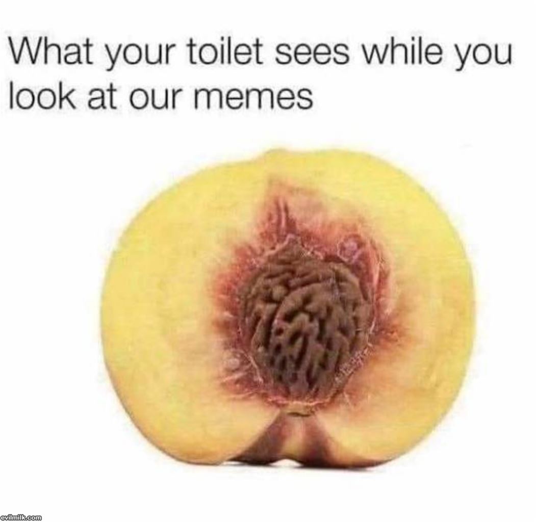 Your Toilet