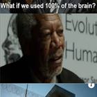 100 Percent Of The Brain