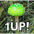1 Up