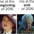 2016 Year In Review