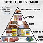 2030 Food Pyramid