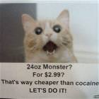 24oz Monster