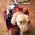2 Sub Woofers