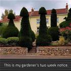 2 Week Notice