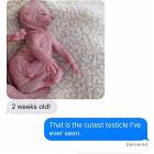 2 Weeks Old