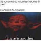 54 Bones