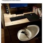 911 Whats