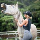 A Beautiful Animal