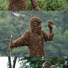 A Bee Suit