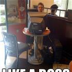 A Boss