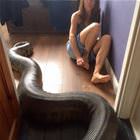 A Cute Little Snake