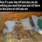 A Day Off