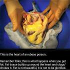 A Fat Heart