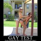 A Gay Test