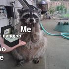A Gift