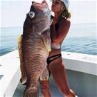 A Good Catch