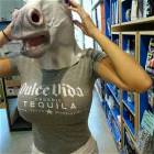 A Horsey