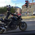 A Kitty Cat