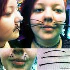 A Kitty Cat