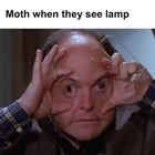 A Lamp