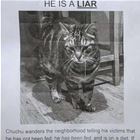 A Liar