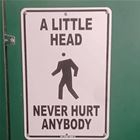 A Little Head