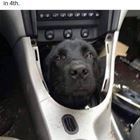 A Little Ruff
