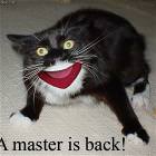 A Master Is Back