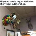 A Mounted Vegan