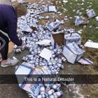 A Natural Disaster