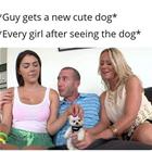 A New Cute Dog