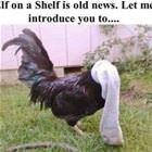 A New One