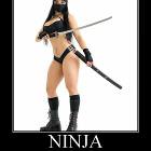 A Ninja