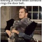 A Normal Evening