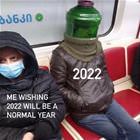 A Normal Year