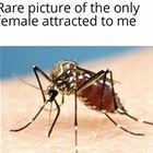 A Rare Photo
