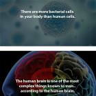 A Set Of Weird Shower Thoughts