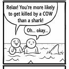 A Shark
