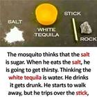 A Simple Way