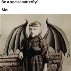 A Social Butterfly