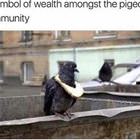 A Symbol Of Wealth