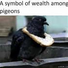 A Symbol Of Wealth