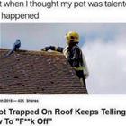 A Talented Pet
