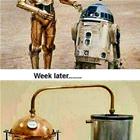 A Week Later