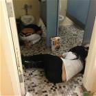 A Wild Night
