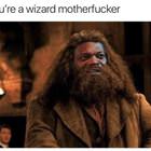 A Wizard