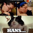 Addicted To Cat Hair