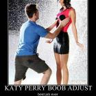 Adjuster